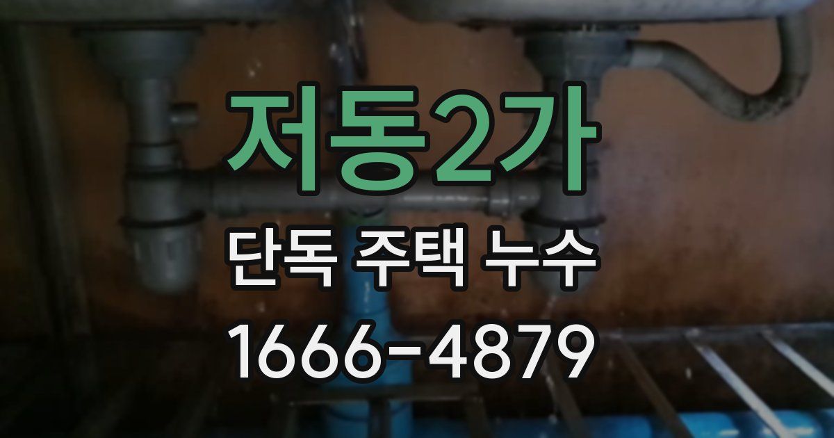 저동2가 단독 주택 누수