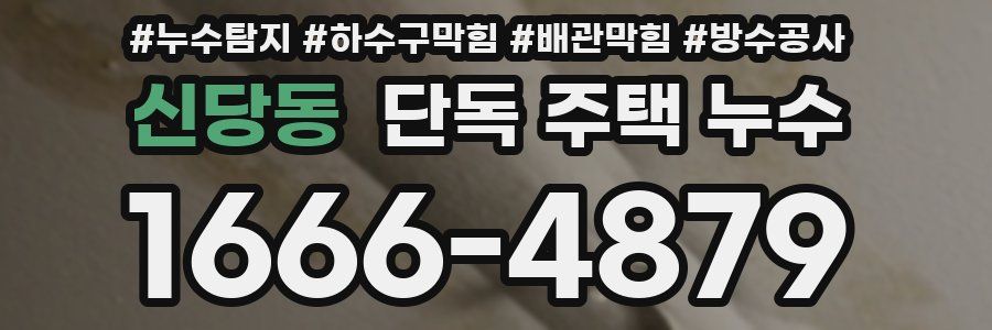 신당동 단독 주택 누수