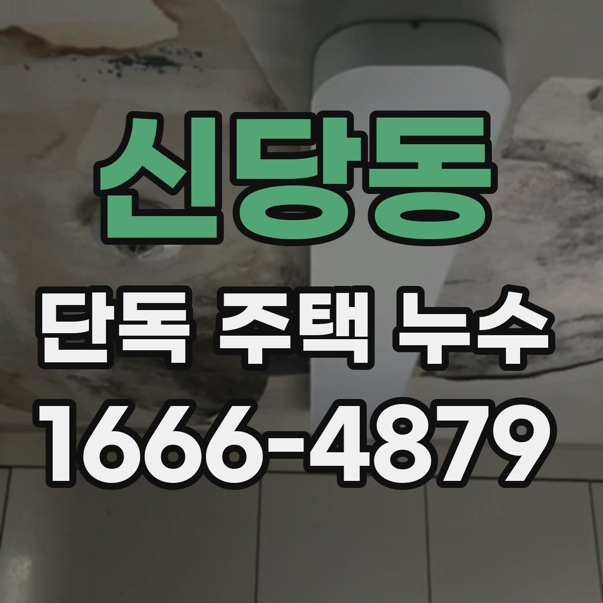 신당동 단독 주택 누수