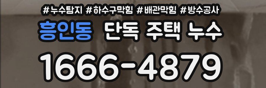 흥인동 단독 주택 누수