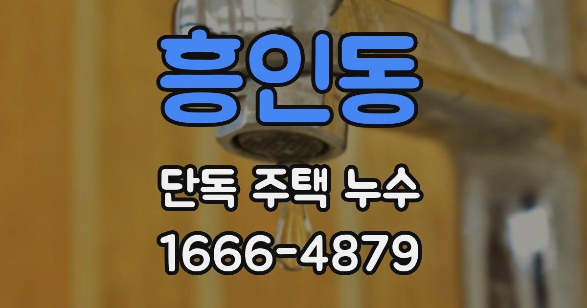 흥인동 단독 주택 누수