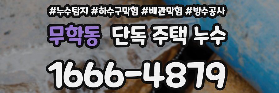 무학동 단독 주택 누수