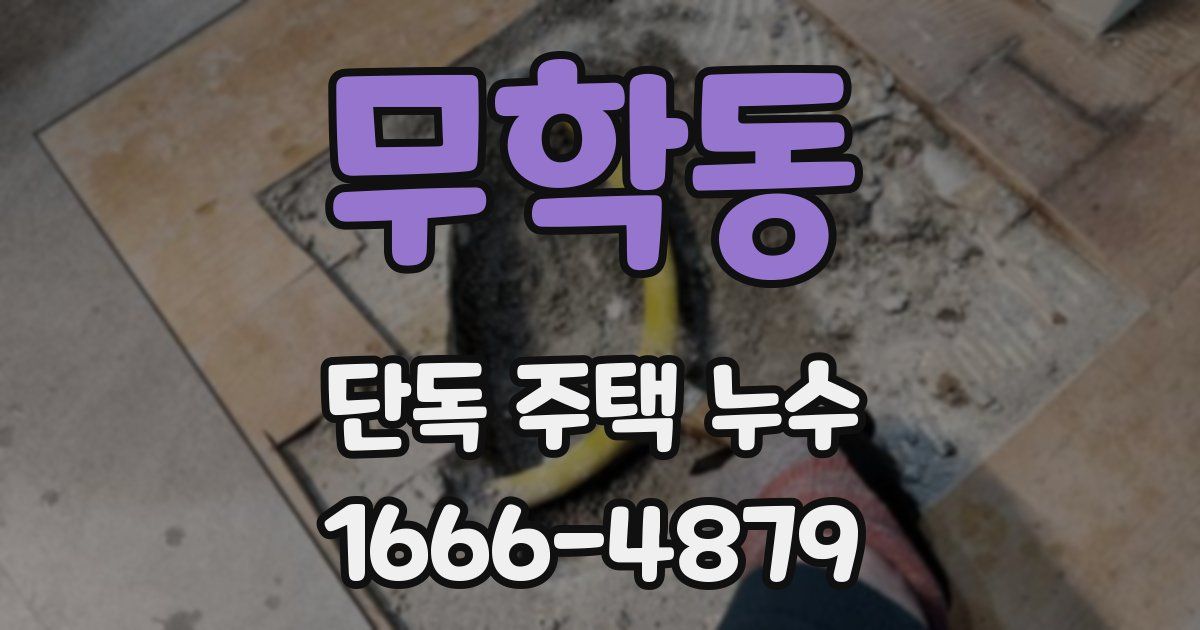 무학동 단독 주택 누수