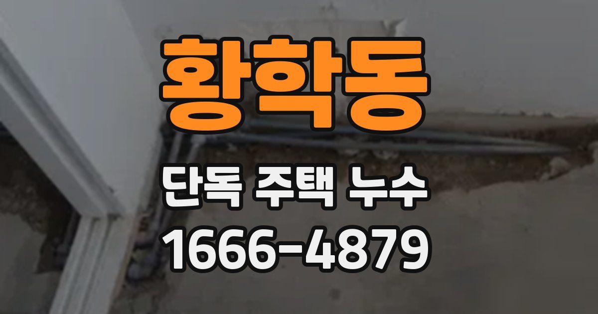 황학동 단독 주택 누수