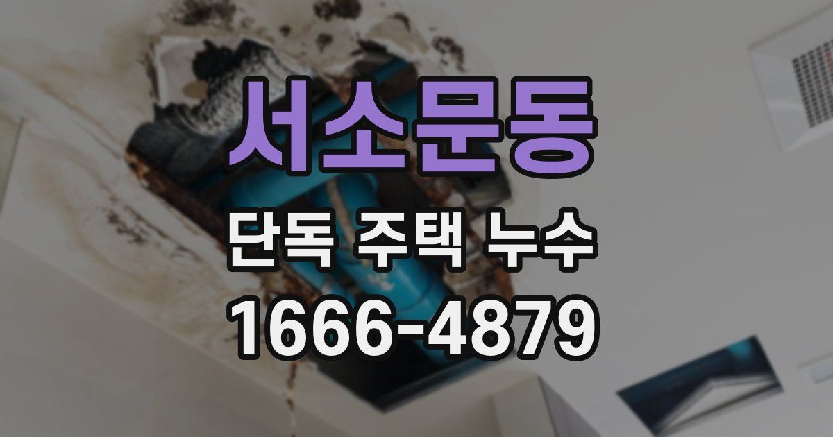 서소문동 단독 주택 누수