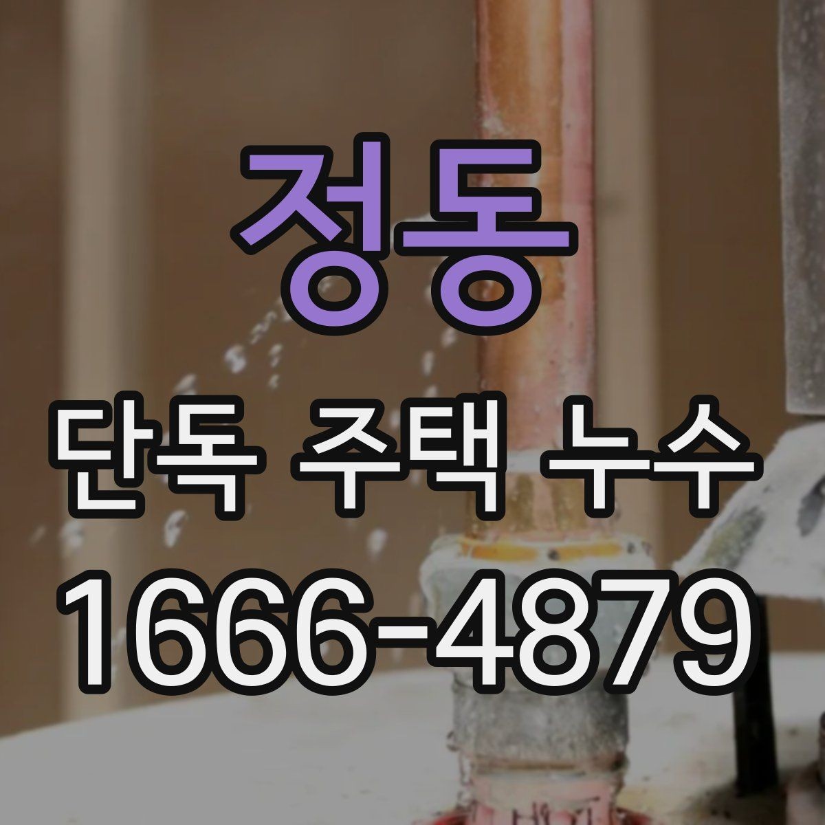 정동 단독 주택 누수 보수 범위와 진행 절차