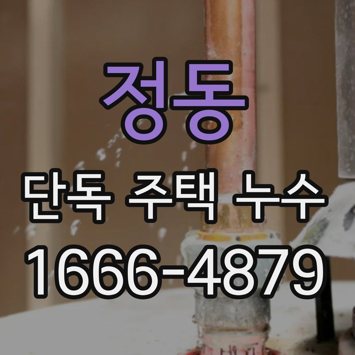정동 단독 주택 누수