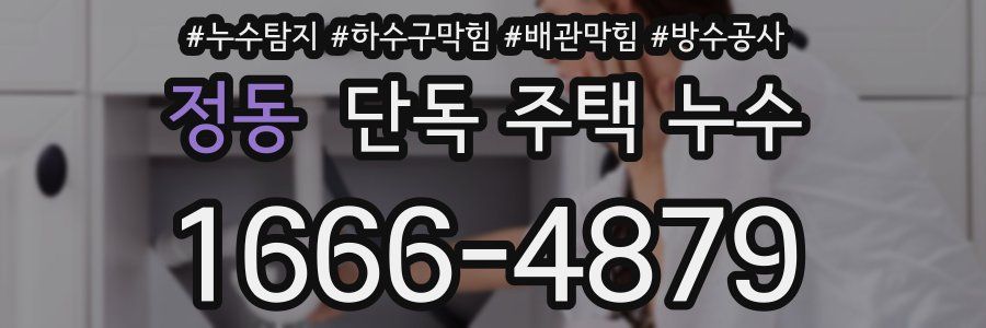 정동 단독 주택 누수