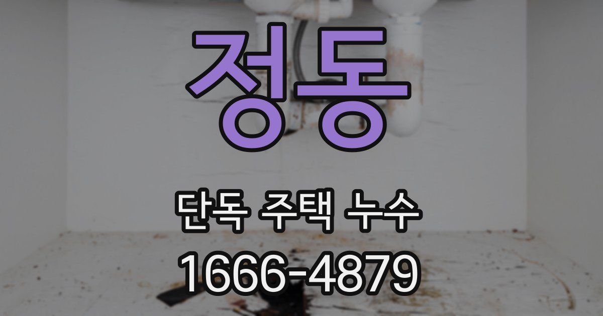 정동 단독 주택 누수