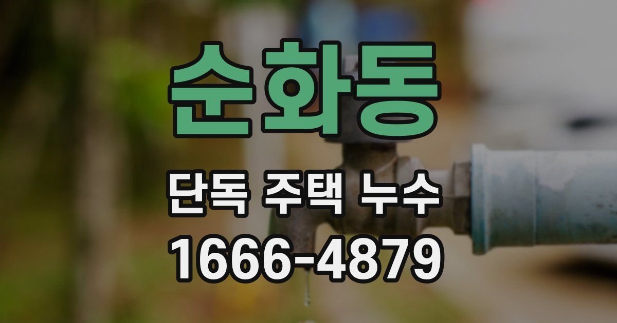순화동 단독 주택 누수