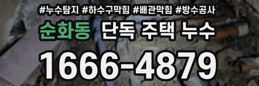 순화동 단독 주택 누수