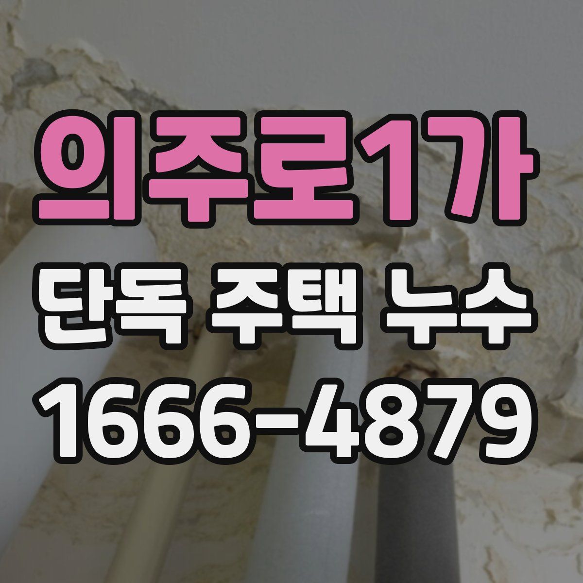 의주로1가 단독 주택 누수