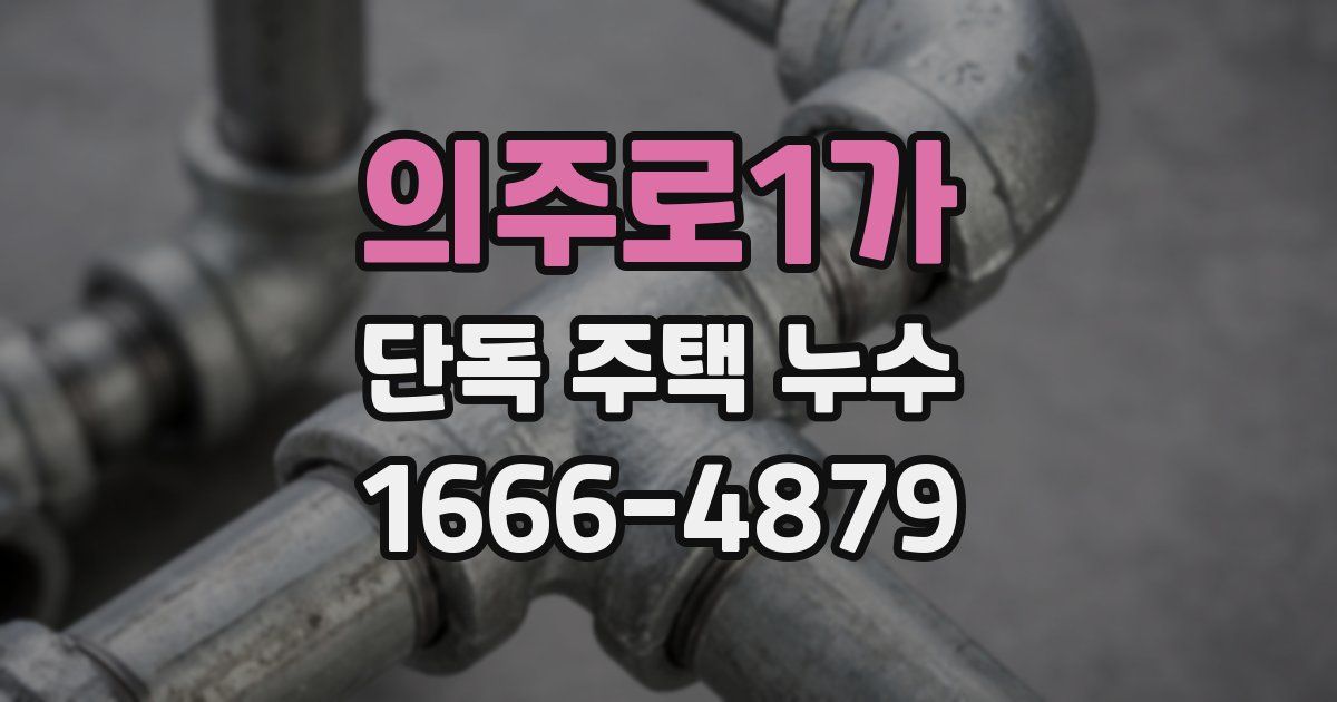 의주로1가 단독 주택 누수