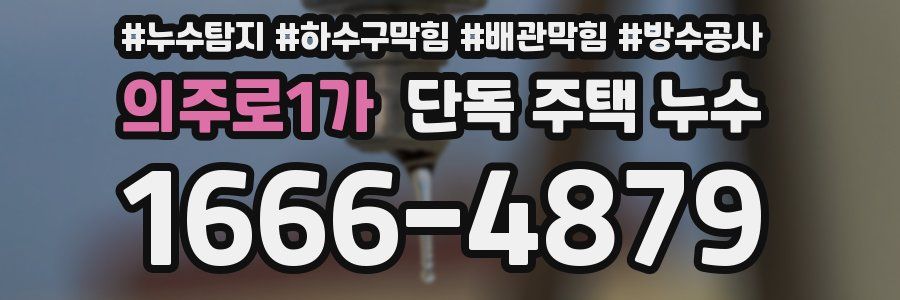 의주로1가 단독 주택 누수