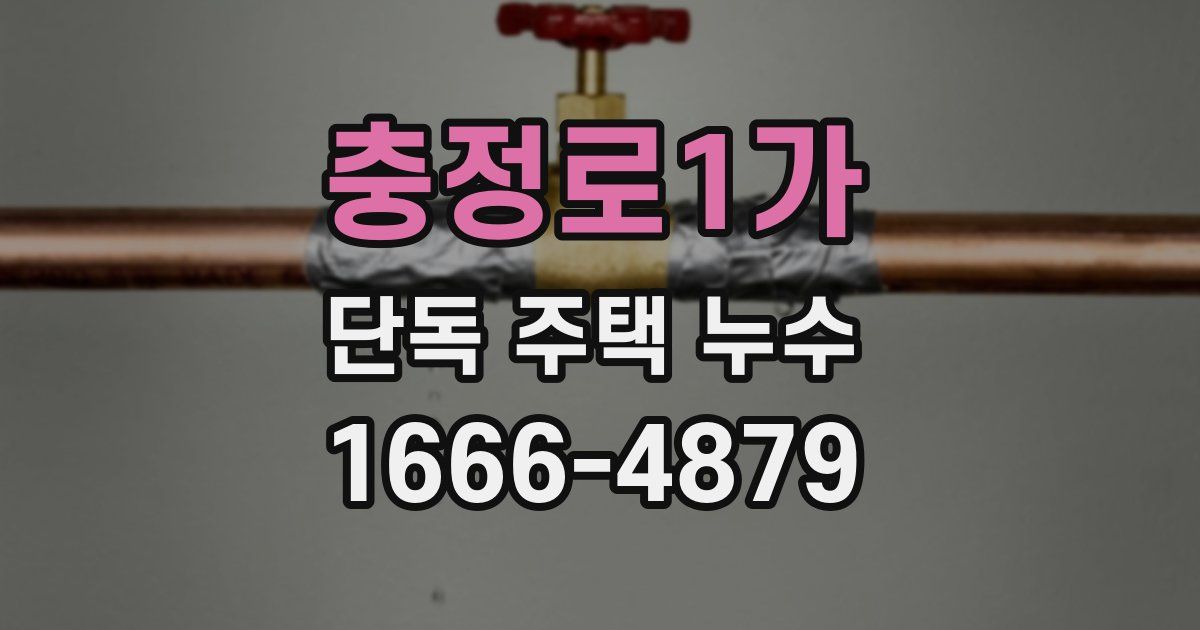 충정로1가 단독 주택 누수