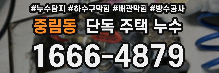 중림동 단독 주택 누수