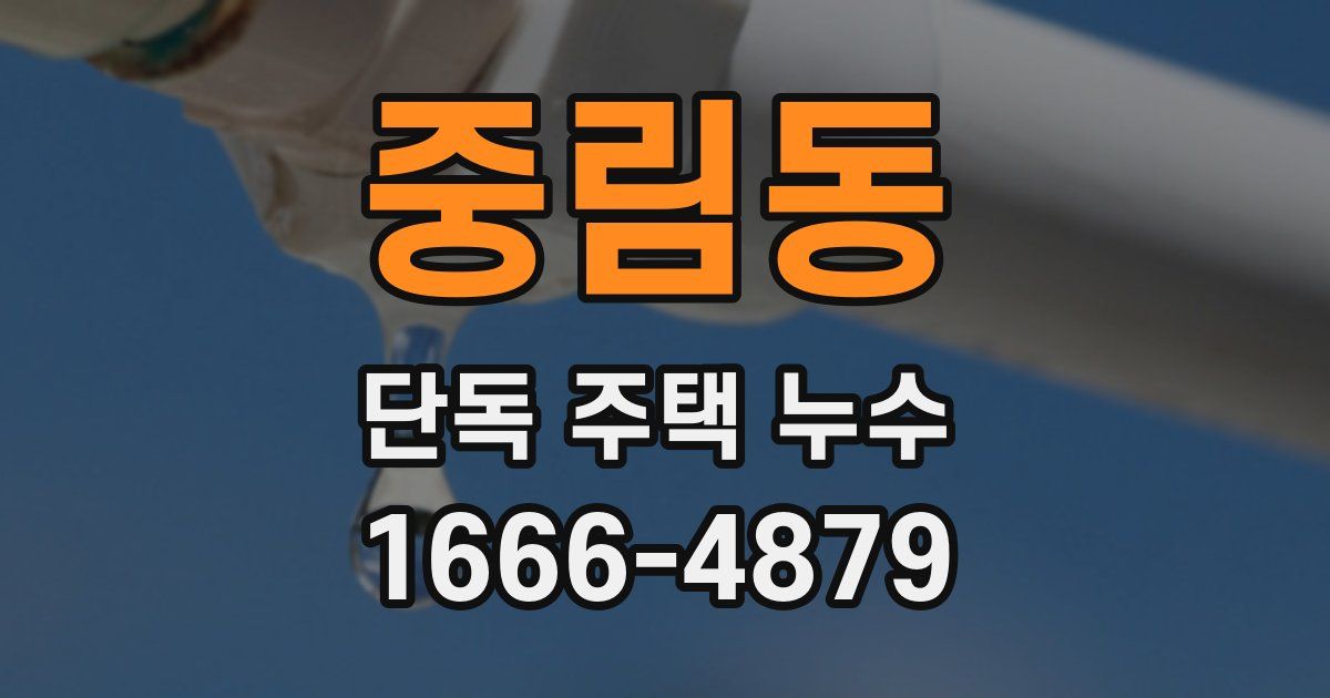 중림동 단독 주택 누수