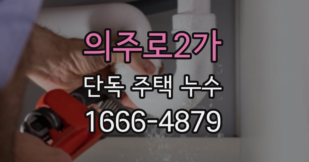 의주로2가 단독 주택 누수