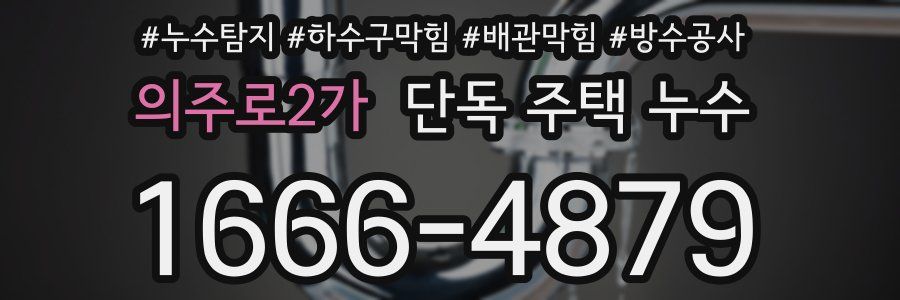 의주로2가 단독 주택 누수