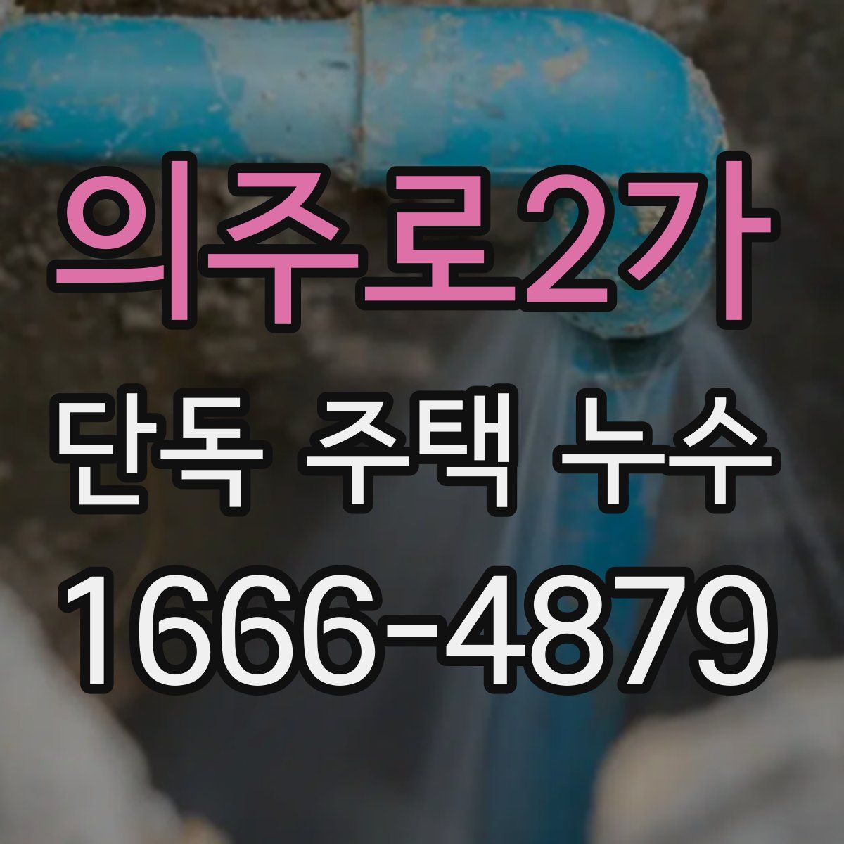 의주로2가 단독 주택 누수