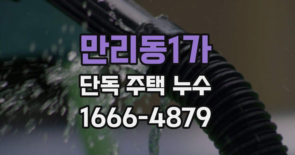 만리동1가 단독 주택 누수
