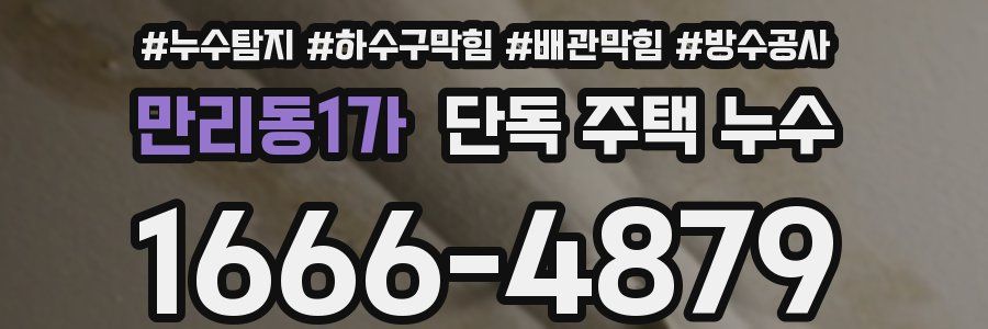 만리동1가 단독 주택 누수