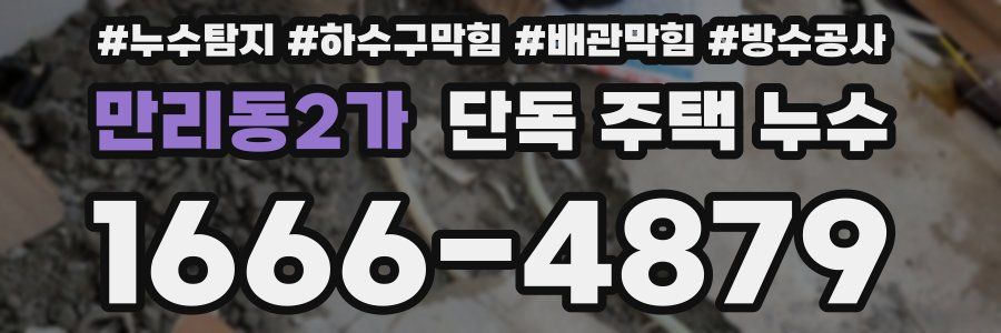 만리동2가 단독 주택 누수
