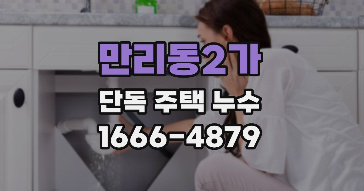 만리동2가 단독 주택 누수