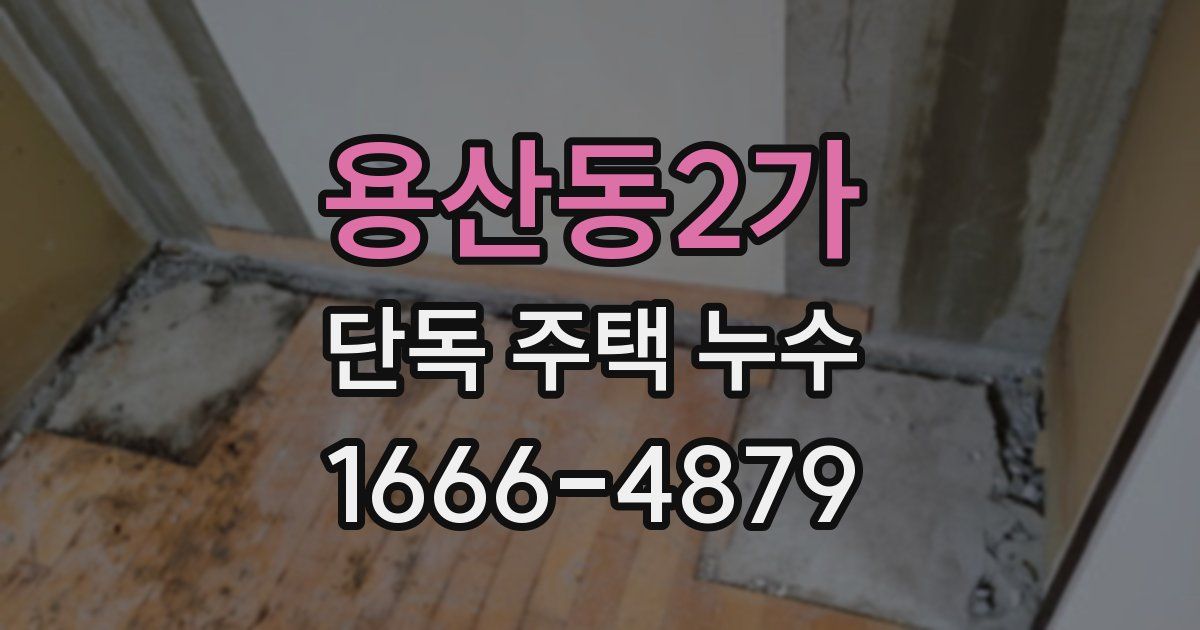 용산동2가 단독 주택 누수