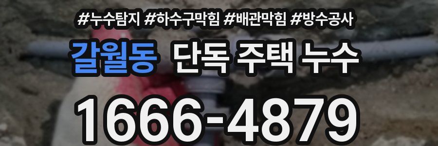 갈월동 단독 주택 누수