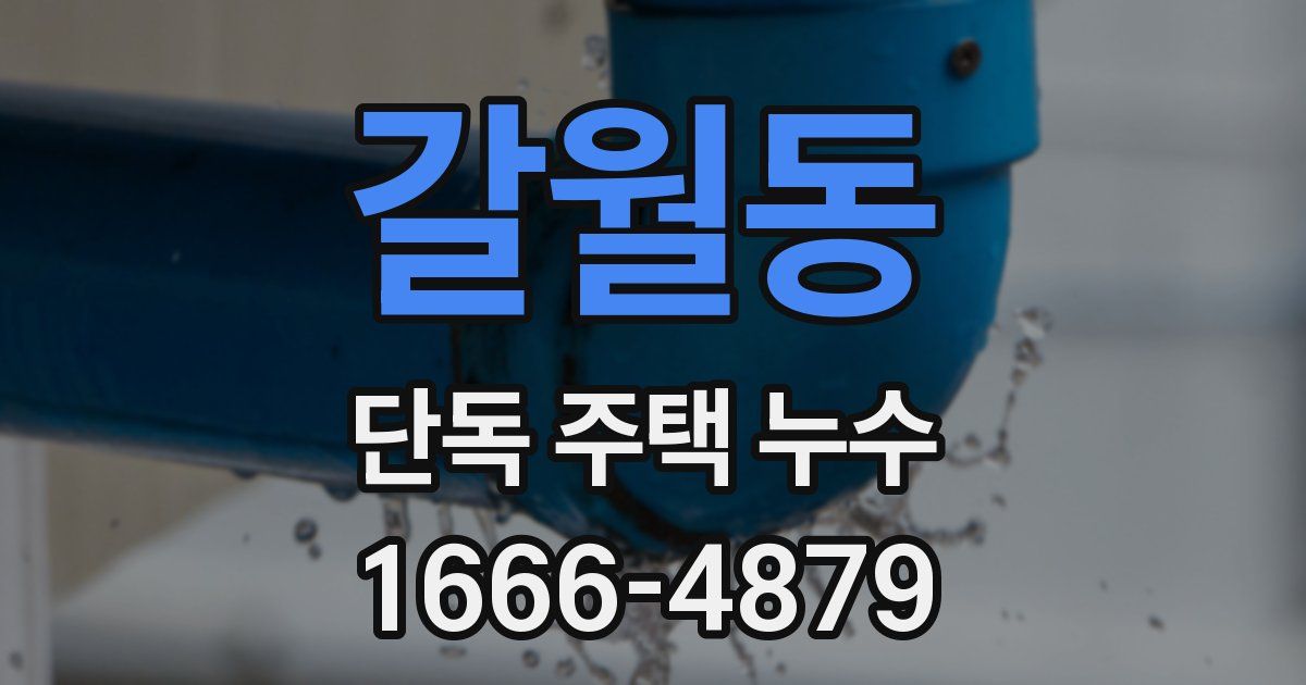 갈월동 단독 주택 누수