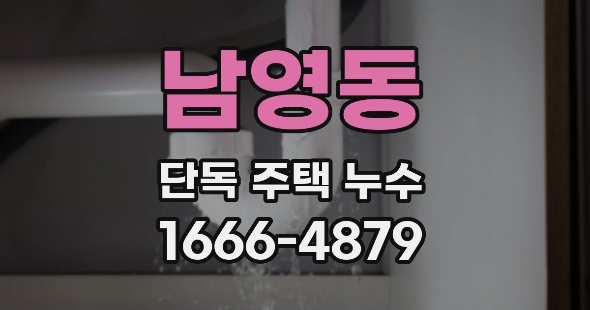 남영동 단독 주택 누수
