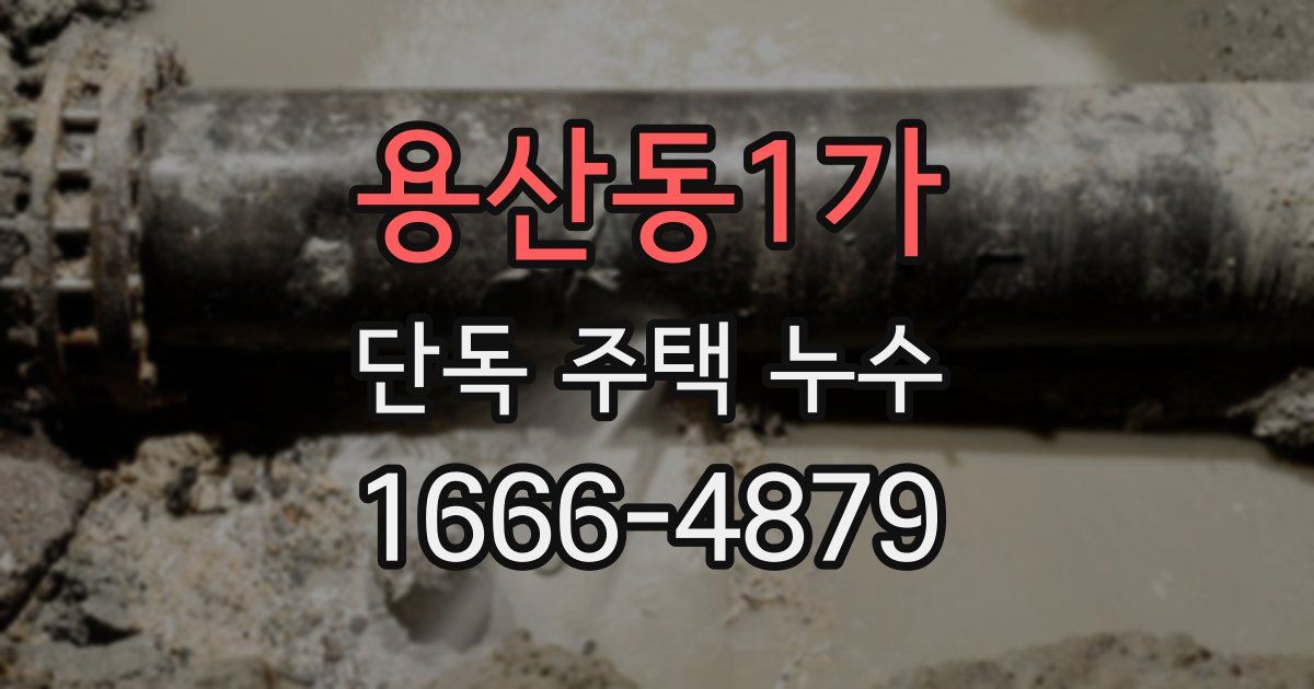용산동1가 단독 주택 누수