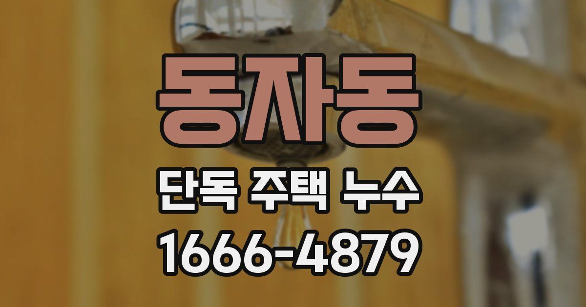 동자동 단독 주택 누수