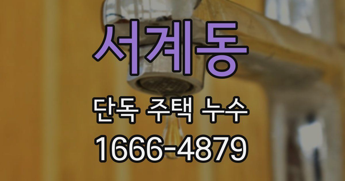 서계동 단독 주택 누수