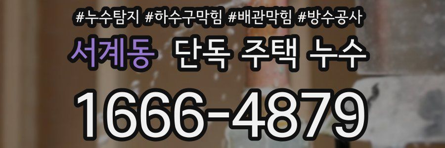 서계동 단독 주택 누수