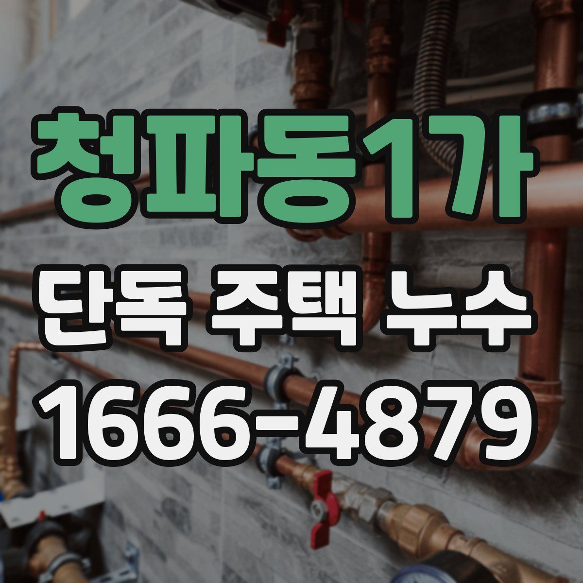 청파동1가 단독 주택 누수