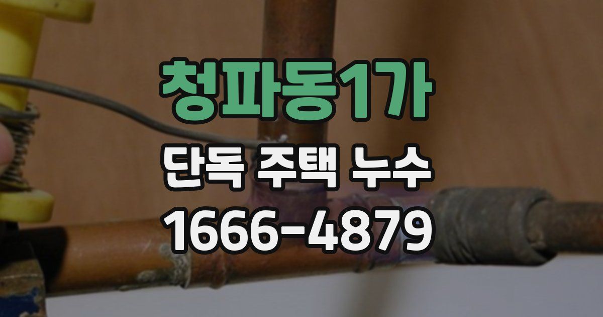 청파동1가 단독 주택 누수