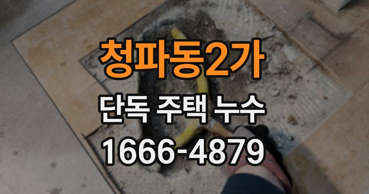 청파동2가 단독 주택 누수