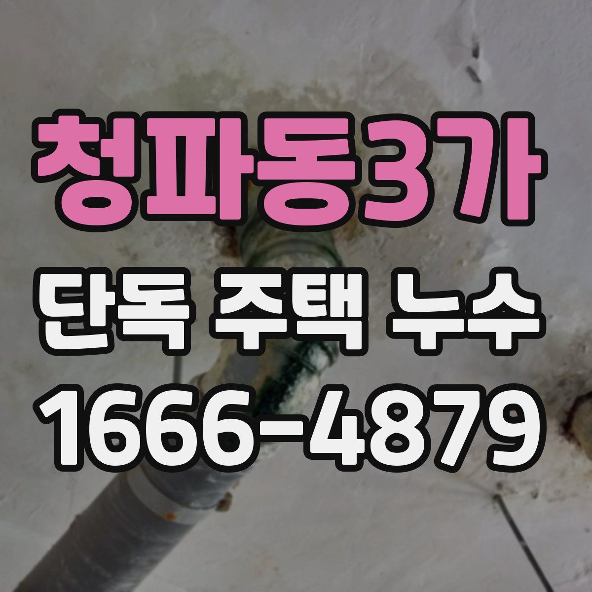 청파동3가 단독 주택 누수