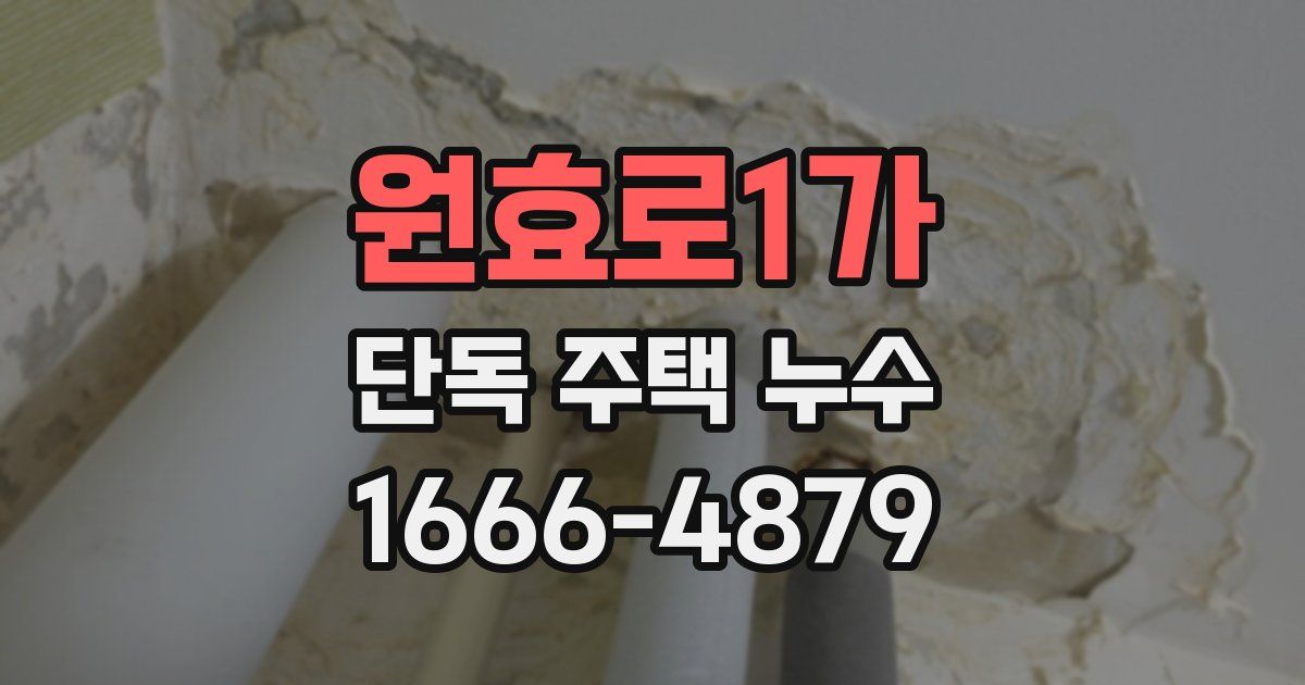 원효로1가 단독 주택 누수