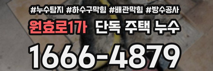 원효로1가 단독 주택 누수