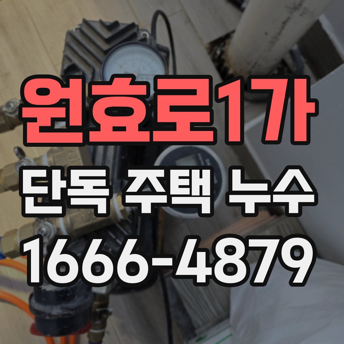 원효로1가 단독 주택 누수
