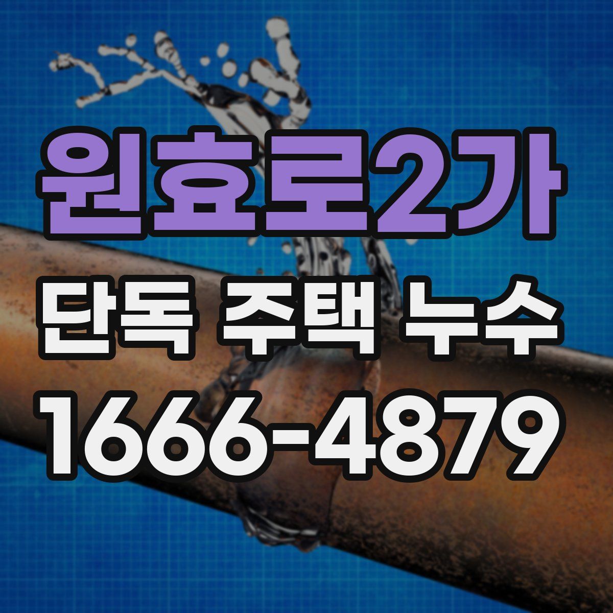 원효로2가 단독 주택 누수