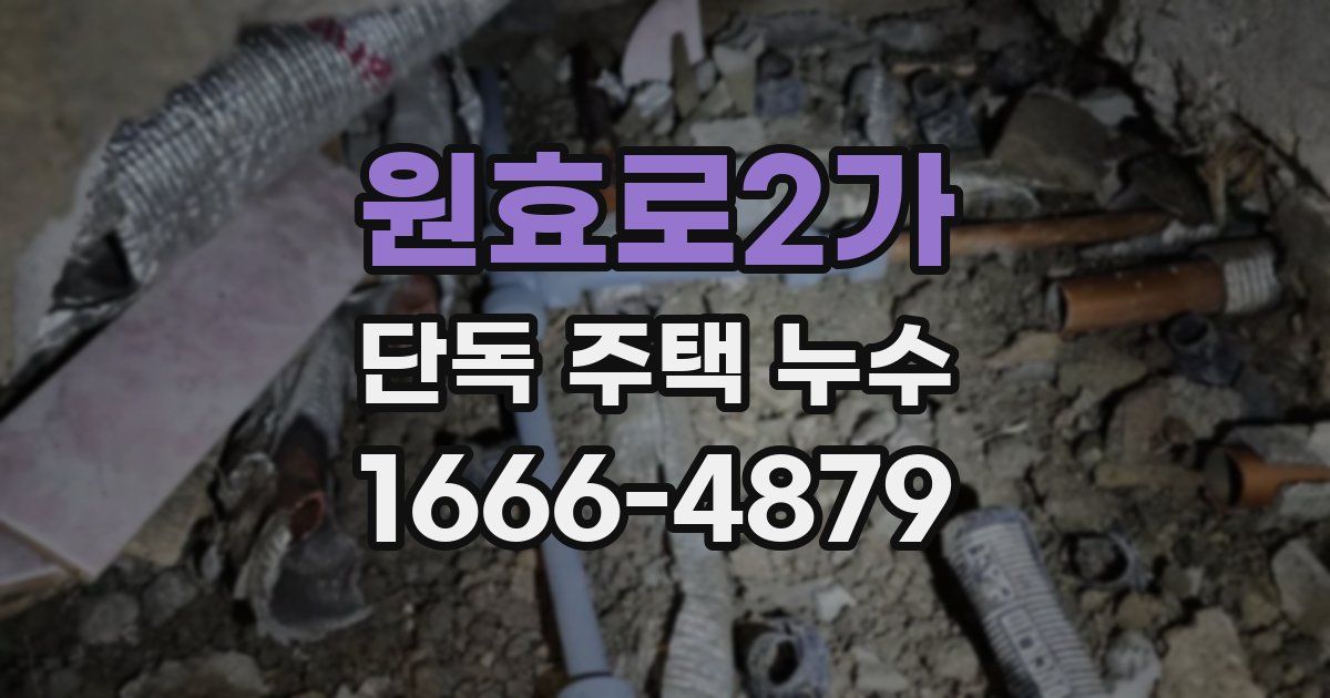 원효로2가 단독 주택 누수