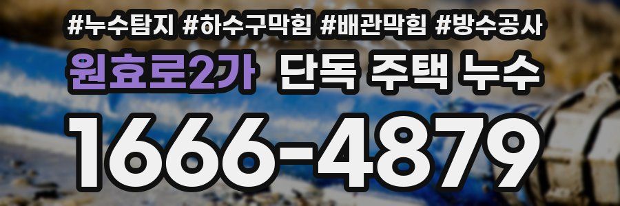원효로2가 단독 주택 누수