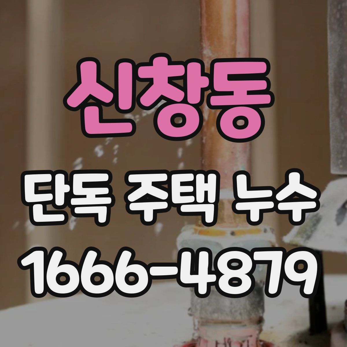 신창동 단독 주택 누수