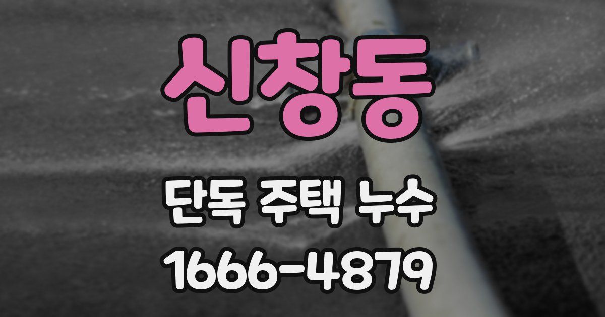 신창동 단독 주택 누수