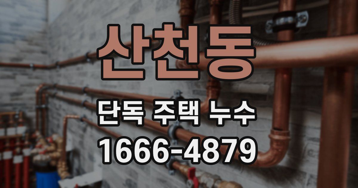 산천동 단독 주택 누수