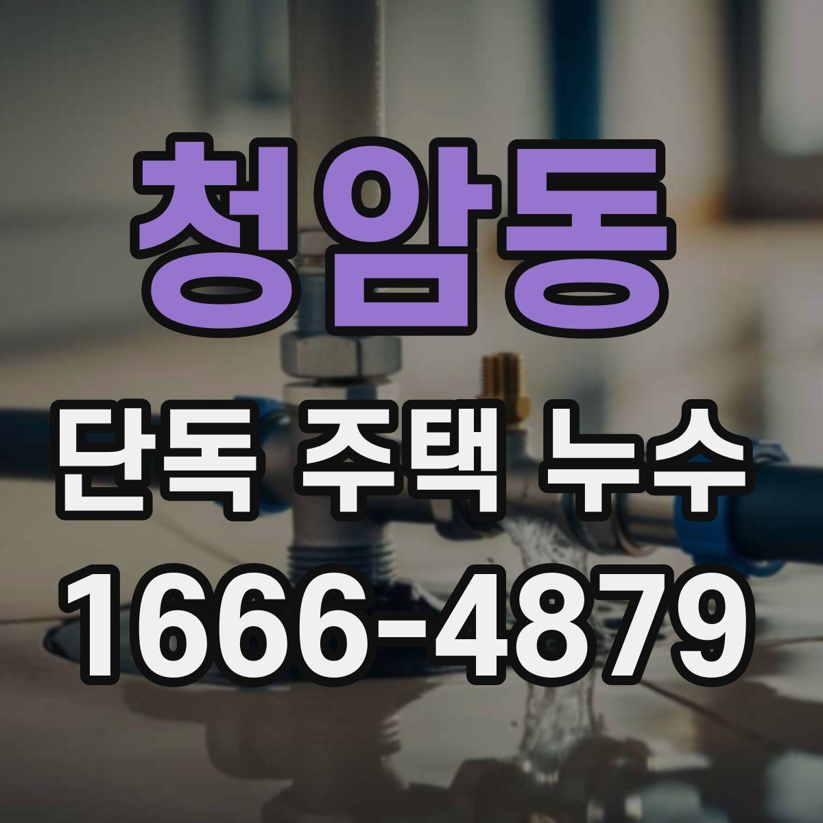 청암동 단독 주택 누수